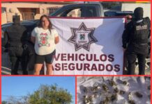 Detienen en Reynosa a Lourdes Paulina “S” con droga en camioneta F-150