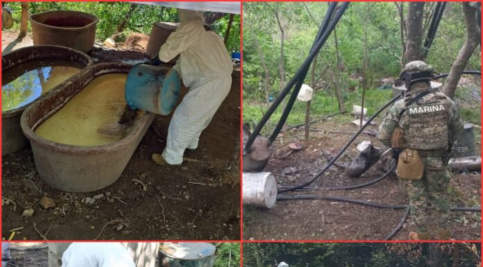 Aseguran 21 toneladas de metanfetamina en Durango