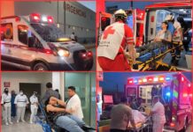 Ataque de abejas deja 14 niños y 2 adultos lesionados en Matamoros