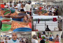 Mujeres de Tampico quedan sin empleo por cierre de despicadora