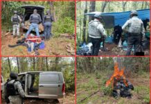 Guardia Nacional desmantela seis campamentos criminales en Michoacán