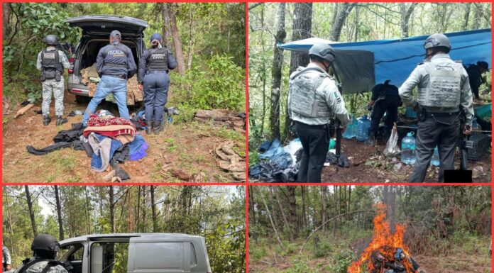 Guardia Nacional desmantela seis campamentos criminales en Michoacán