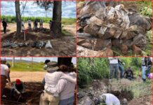 Hallan 61 bolsas con restos humanos en Zapopan, Jalisco