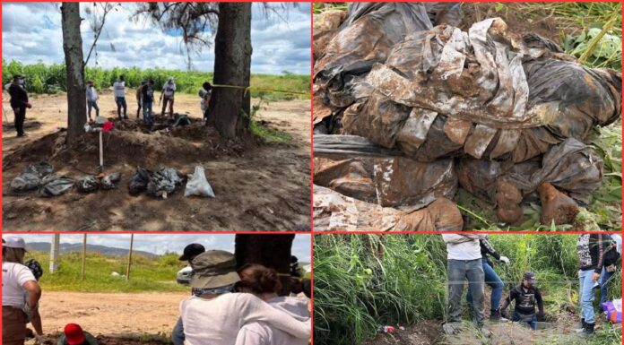 Hallan 61 bolsas con restos humanos en Zapopan, Jalisco