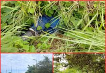 Motociclista muere en accidente en corredor urbano de Cd. Madero