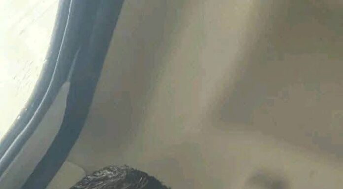 Miguel Ángel Martínez desaparece en Nuevo Morelos, Tamaulipas