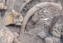 Restos humanos aparecen en Reynosa y revelan nuevos hallazgos