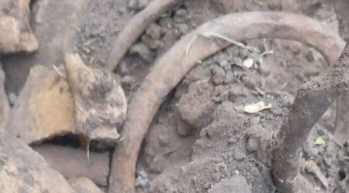 Restos humanos aparecen en Reynosa y revelan nuevos hallazgos