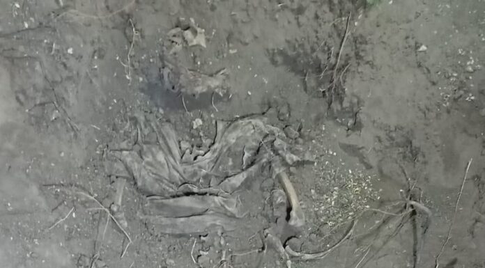 Hallan fosa clandestina con indicios de varias víctimas