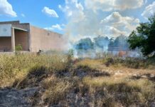 REPORTAN DOS INCENDIOS EN SOLARES BALDÍOS DE CAMARGO; POSTES DE CFE RESULTAN DAÑADOS
