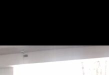 Obtiene segundo lugar equipo de natación Dragones IMD en Torneo Estatal