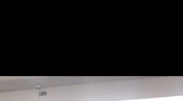 Obtiene segundo lugar equipo de natación Dragones IMD en Torneo Estatal