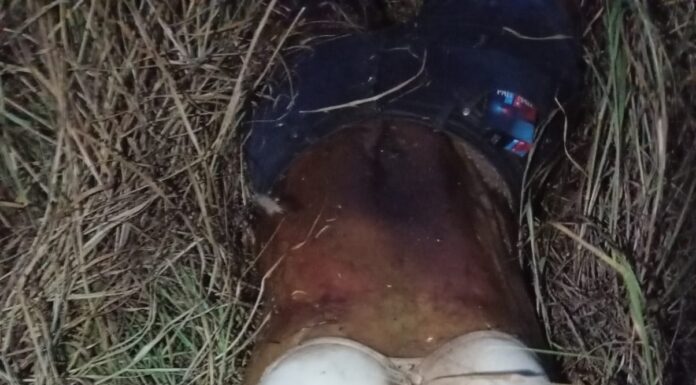 Encuentran mujer sin vida durante búsqueda en brechas