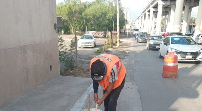 Mantenimiento y limpieza en avenidas principales en Reynosa