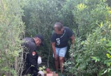 Guardia Estatal auxilia a motociclista accidentado en Abasolo