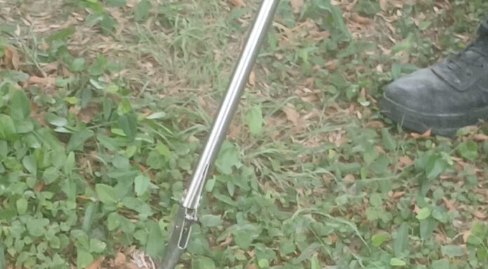 Capturan víbora de cascabel en secundaria de Camargo