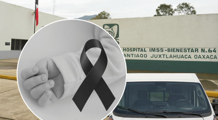 Bebé muere tras mordedura de víbora de cascabel