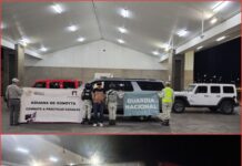 Detienen trailero con autos de lujo ocultos en tráiler refrigerado