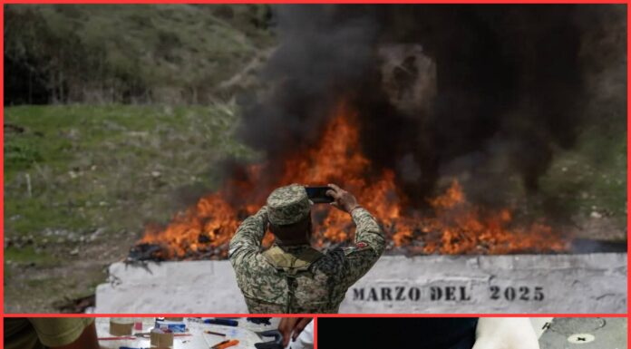 Escándalo en la FGR: funcionarios cambian cocaína por leche en polvo