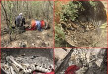 Restos humanos hallados en Reynosa durante búsqueda de desaparecidos