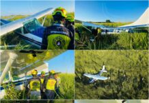 Avioneta Cessna aterriza de emergencia en rancho de Tamaulipas