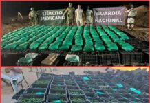 Aseguran más de una tonelada de droga en operativo conjunto