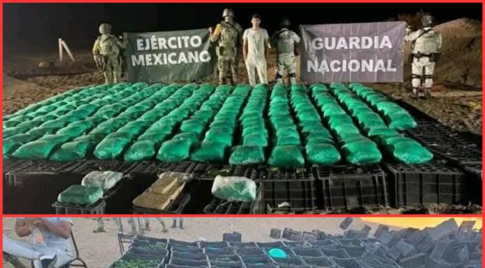 Aseguran más de una tonelada de droga en operativo conjunto