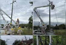 CFE restablece parcialmente energía tras frente frío en Tamaulipas
