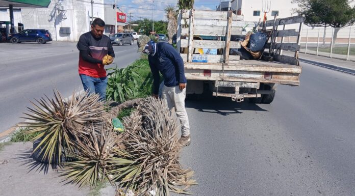 Continúa Gobierno de Reynosa con trabajo de limpieza y mantenimiento