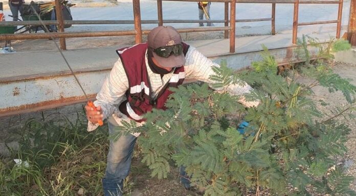 Trabaja Gobierno de Carlos Peña Ortiz en área suburbana