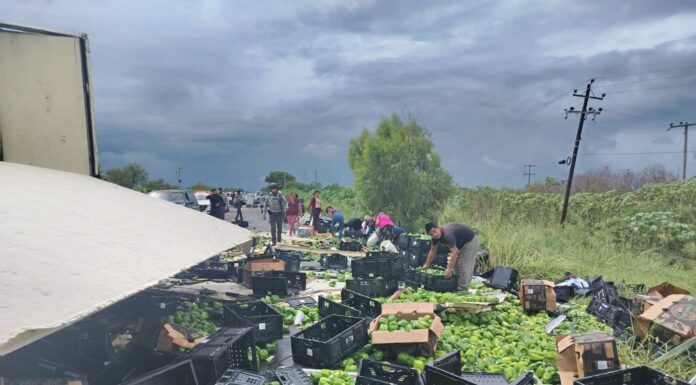 Vuelca tráiler con morrones y pepinos en la carretera Victoria–Matamoros