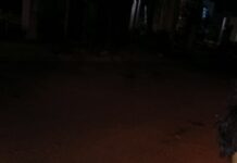 Avanza protección a la calidad de vida de los animales en Reynosa