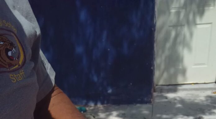 Atendió Hospital Veterinario Municipal de Reynosa a perrito