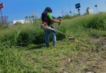 Efectúa Gobierno Municipal de Reynosa actividades de limpieza y mantenimiento
