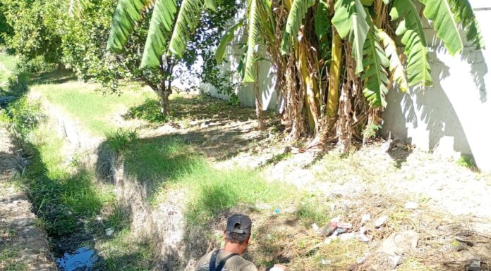 Realizó COMAPA limpieza de pluvial de la colonia Marte R. Gómez