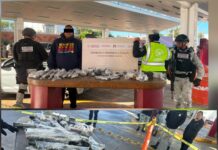 Detienen a estadounidense con arsenal en puente internacional de Reynosa