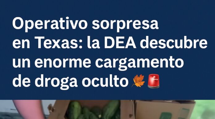 DEA descubre más de 400 kilos de metanfetamina ocultos en cajas de calabaza