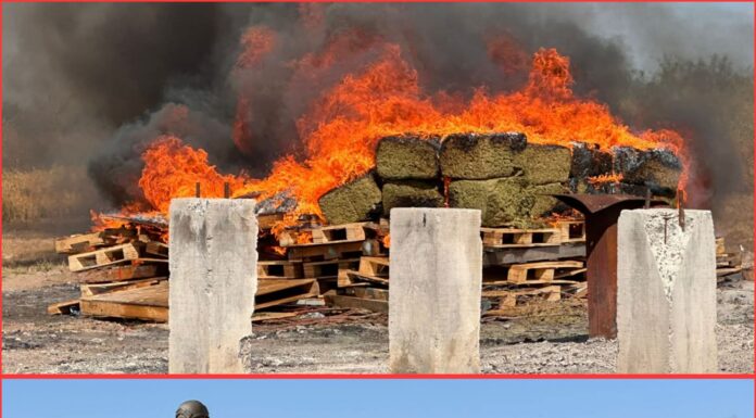 Autoridades federales incineran droga asegurada en Tamaulipas