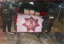 Droga en Matamoros: Guardia Estatal asegura vehículo con marihuana