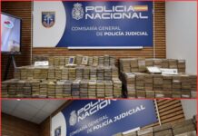 Cae la “oficina fantasma” del cártel más temido del continente: 20 detenidos en operativo sin precedentes