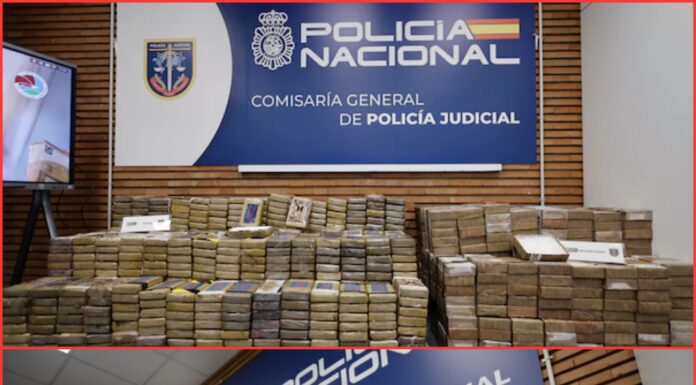 Cae la “oficina fantasma” del cártel más temido del continente: 20 detenidos en operativo sin precedentes