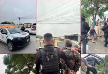 Crueldad animal sacude a Reynosa tras ataque contra gatitos en el Fraccionamiento Halcón