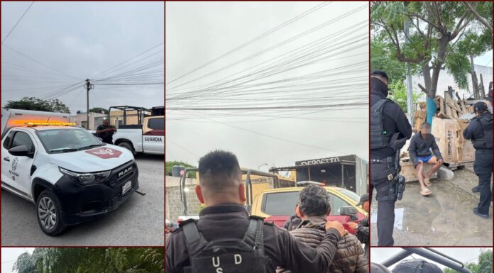 Crueldad animal sacude a Reynosa tras ataque contra gatitos en el Fraccionamiento Halcón