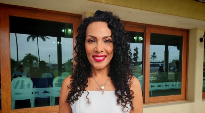 Hasta diez años de prisión por ciberacoso en Tamaulipas propone diputada local