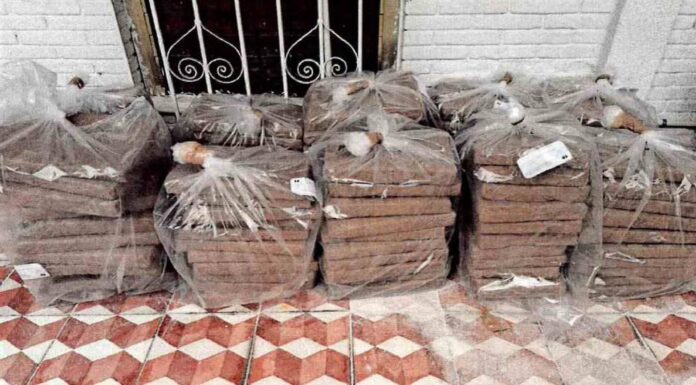 Marihuana: FGR revienta tráiler con más de 2.9 toneladas ocultas en estructuras de cemento