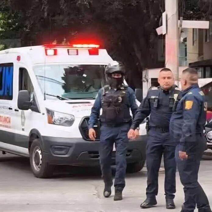 FB_IMG_1764286659597