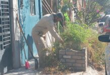 Efectúa Gobierno de Carlos Peña Ortiz actividades de limpieza y mantenimiento de Reynosa