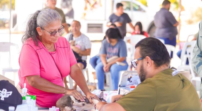 Mascotas sanas en Reynosa con programa veterinario del Alcalde Carlos Peña Ortiz