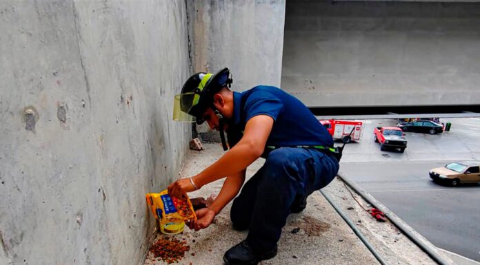 Escribieron Gobierno de Reynosa y ciudadanos una historia de amor y compasión