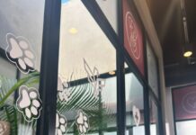 Ofrece Gobierno de Carlos Peña Ortiz servicios médicos del Hospital Veterinario Municipal